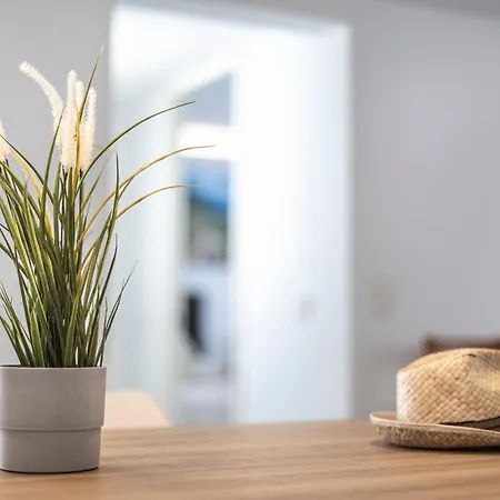 Albercutx Pollentia 3 *