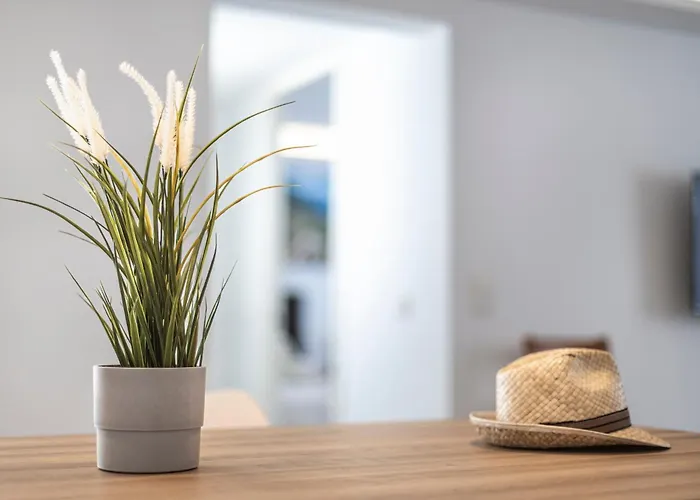 Albercutx Pollentia 3 *